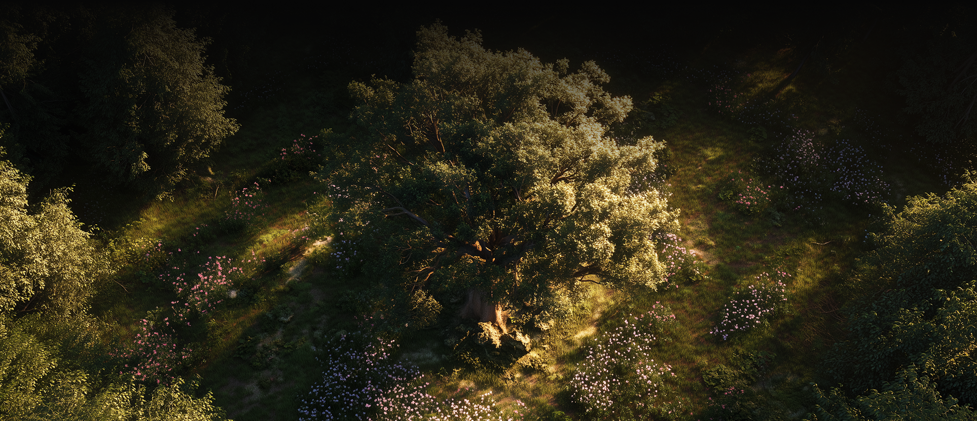 햇살이 비추는 숲 속에서 큰 나무를 중심으로 들꽃과 풀밭이 펼쳐져 있습니다.